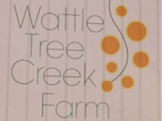 Wattle Tree Creek