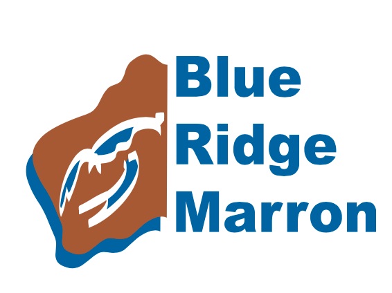 Blue Ridge Marron