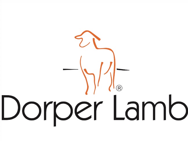 Dorper Lamb