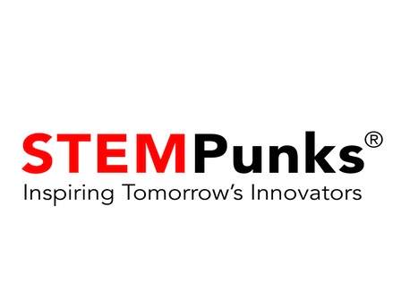 STEM Punks