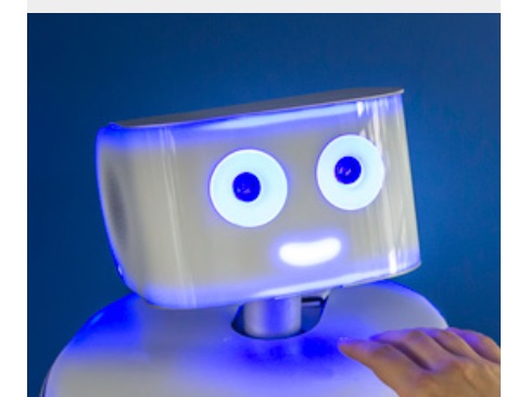Immersive Robotics
