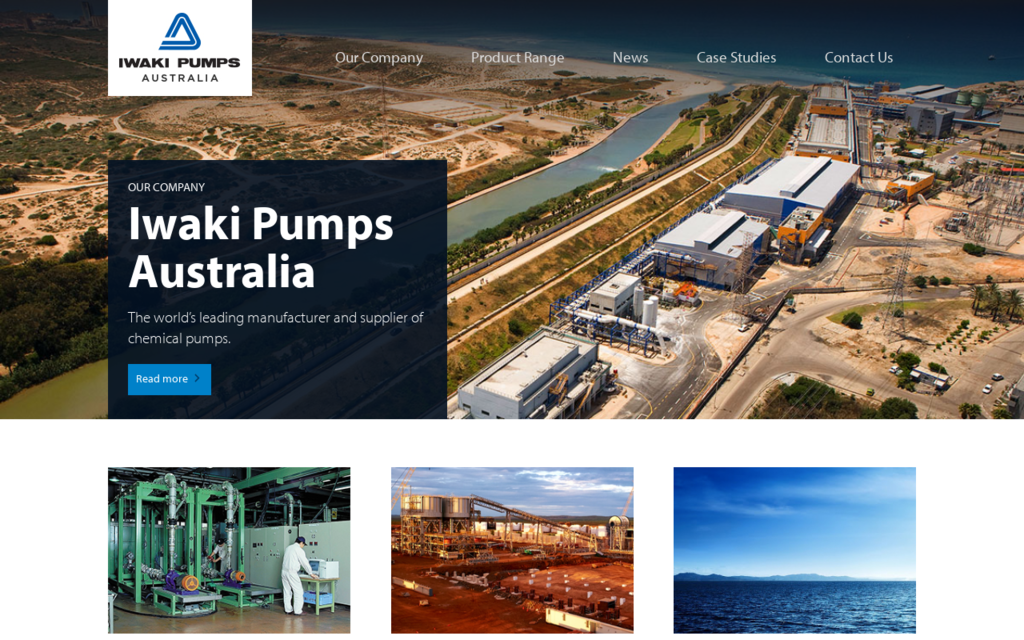Iwaki Pumps Australia