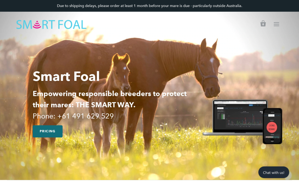 Smart Foal