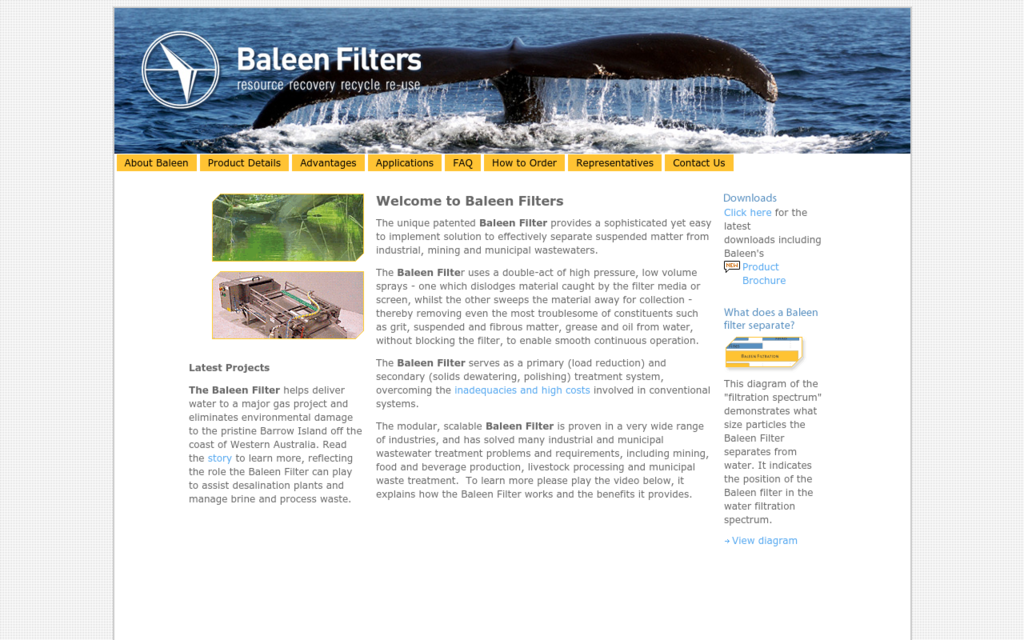 Baleen Filters