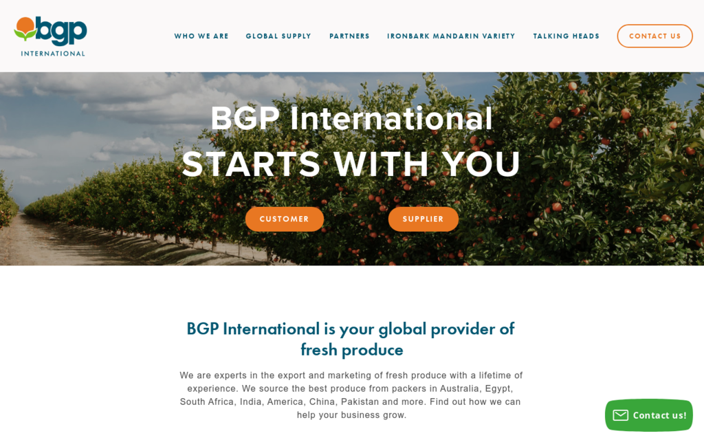 BGP International
