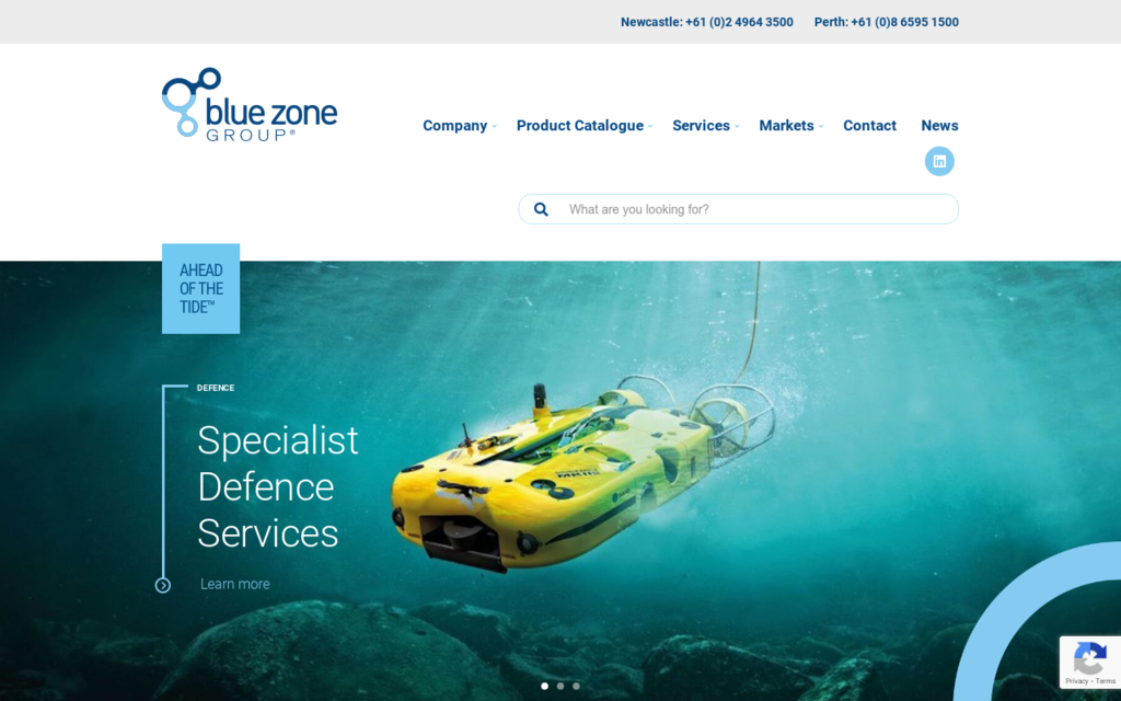 BlueZone Group