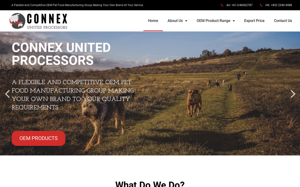 Connex United Processors