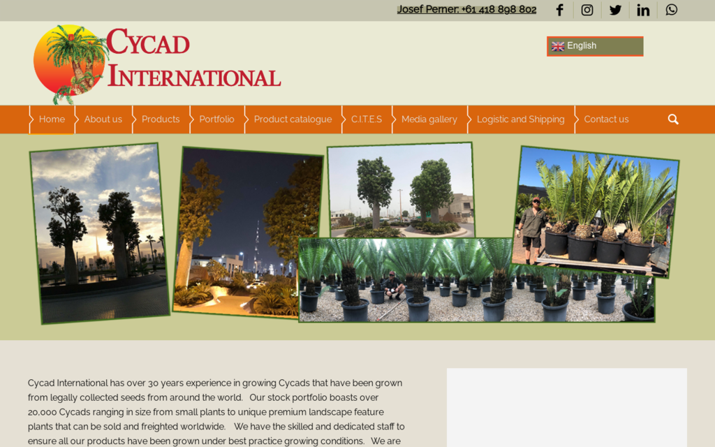 Cycad International