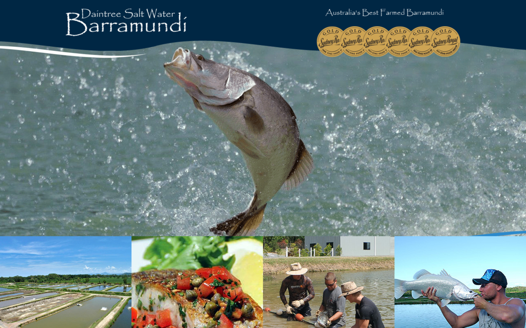 Daintree Saltwater Barramundi