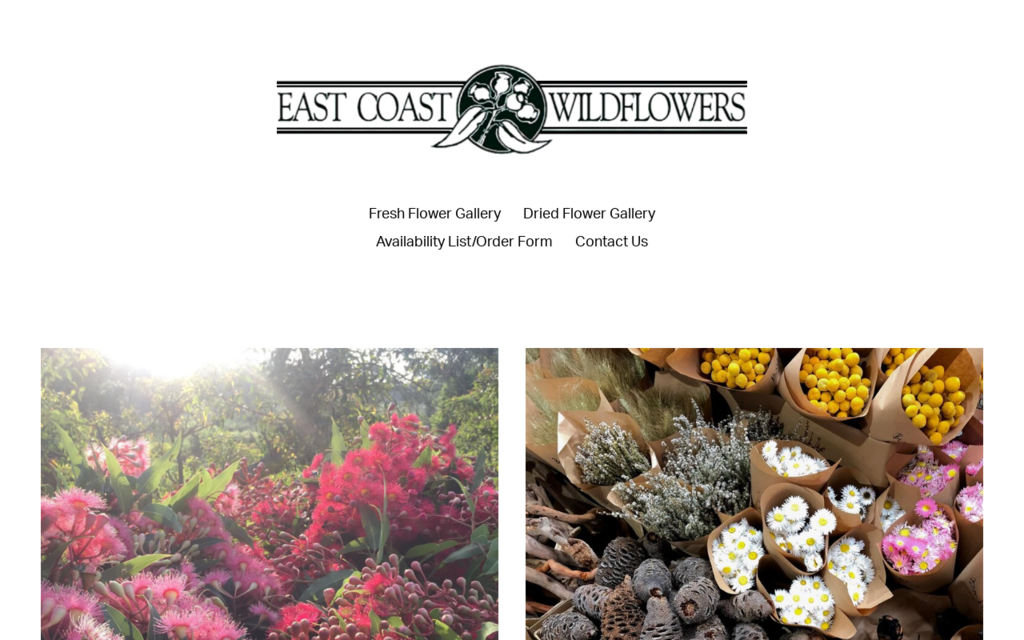 East Coast Wildflowers