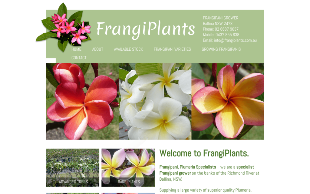 Frangi Plants