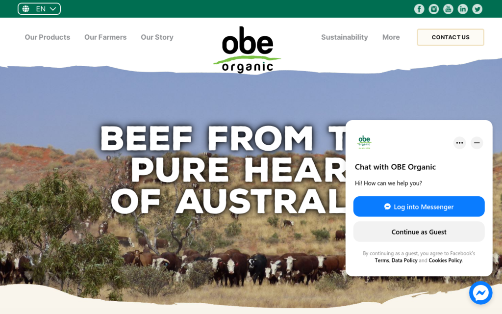 OBE Beef Organic