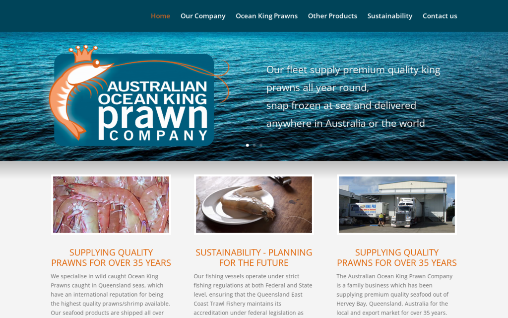 Australian Ocean King Prawn