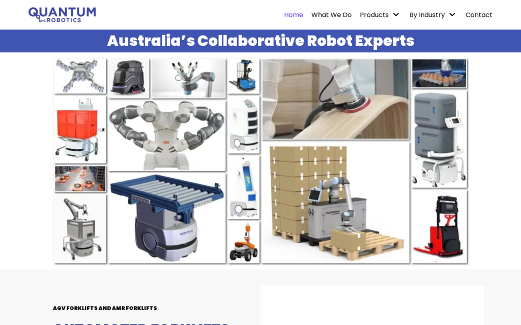 Quantum Robotics