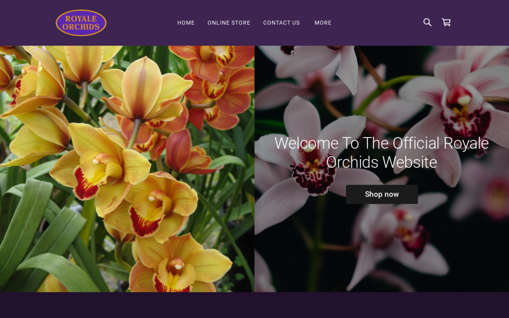 Royale Orchids