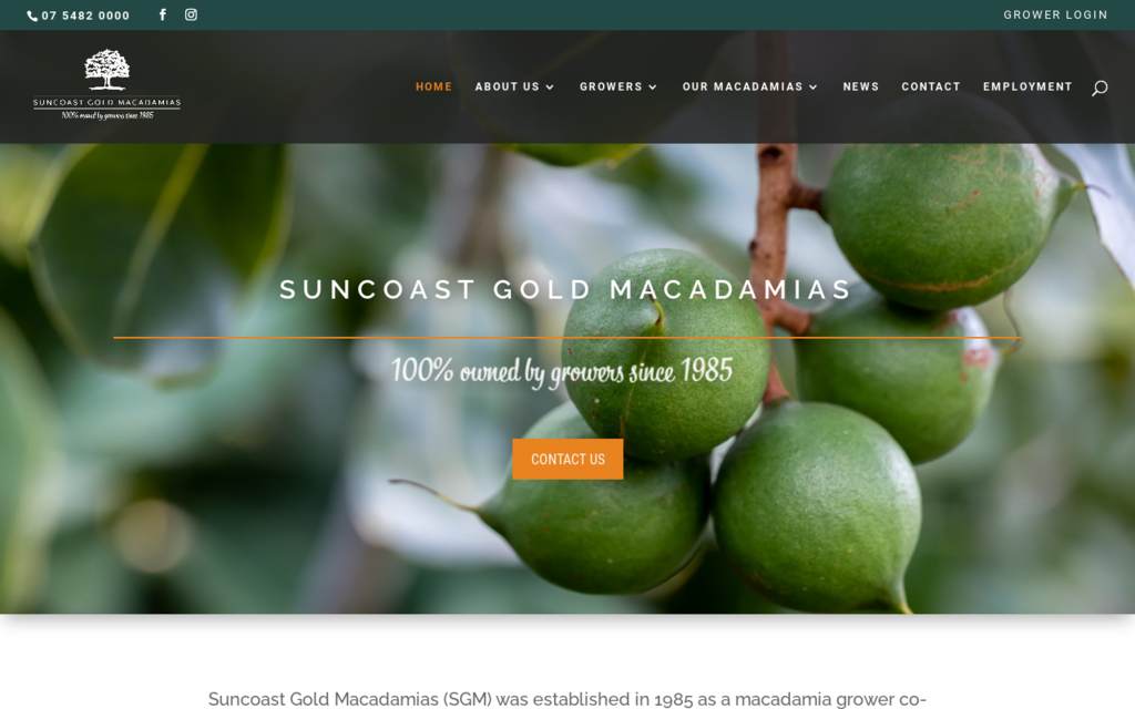 Suncoast Gold Macadamias