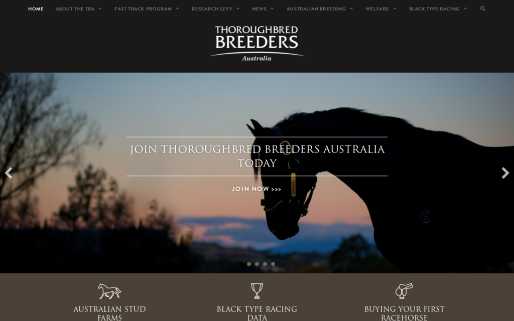 Thoroughbred Horse Breeders Association